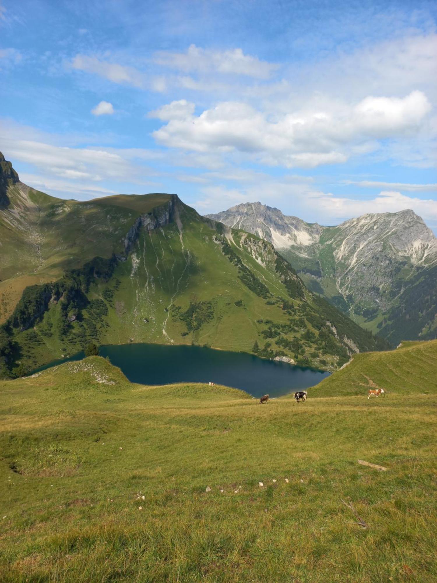 Апартаменты Am Schwand Грен Экстерьер фото
