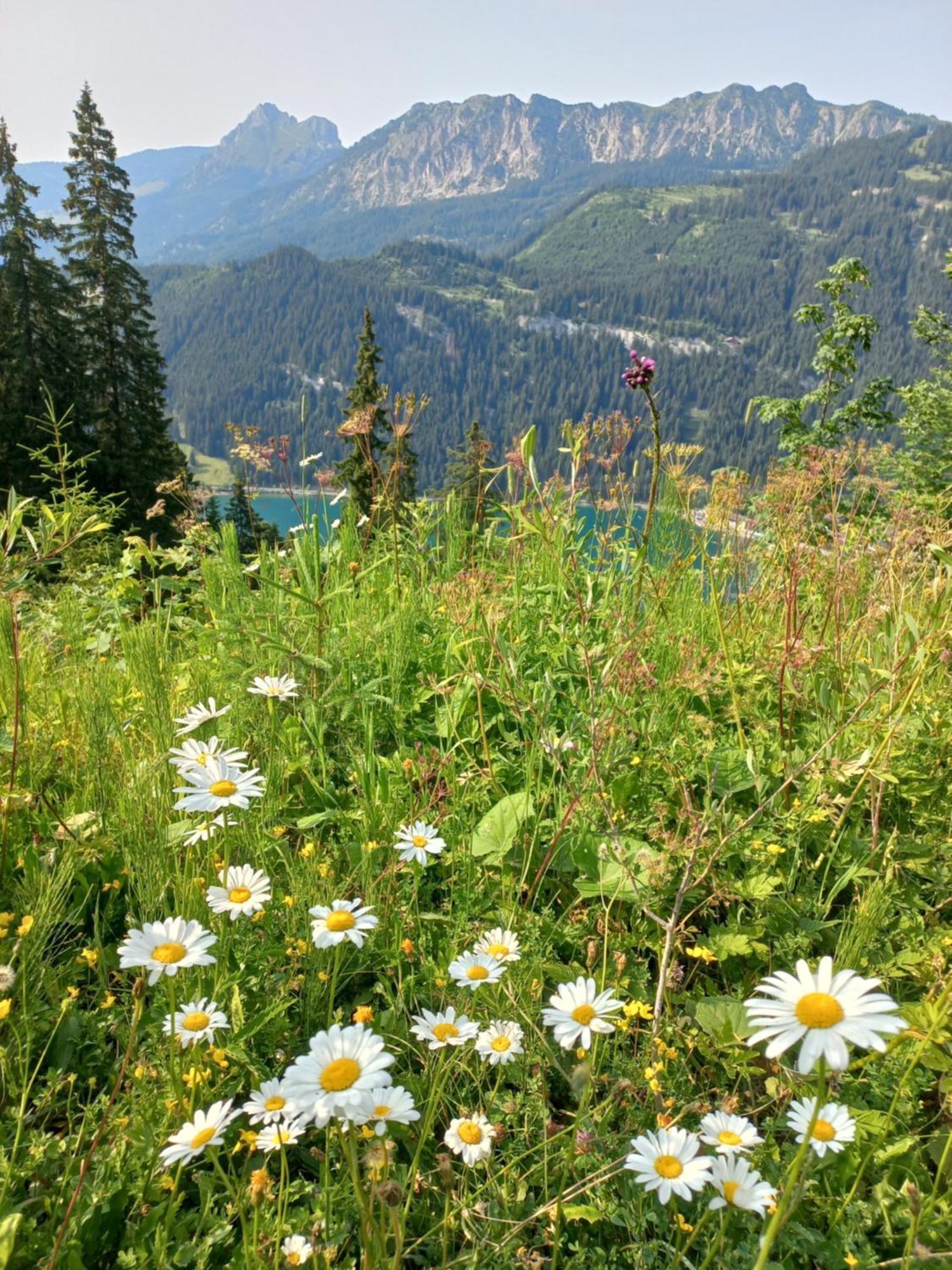 Апартаменты Am Schwand Грен Экстерьер фото